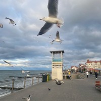 Фото отзыва 34: экскурсия "По Куршской косе и Зеленоградску в мини-группе" Фото отзыва 34: экскурсия "По Куршской косе и Зеленоградску в мини-группе"