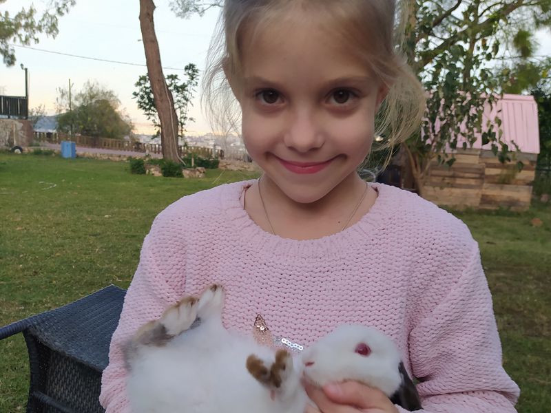 Подружиться с лошадьми в Анталье (6/12)