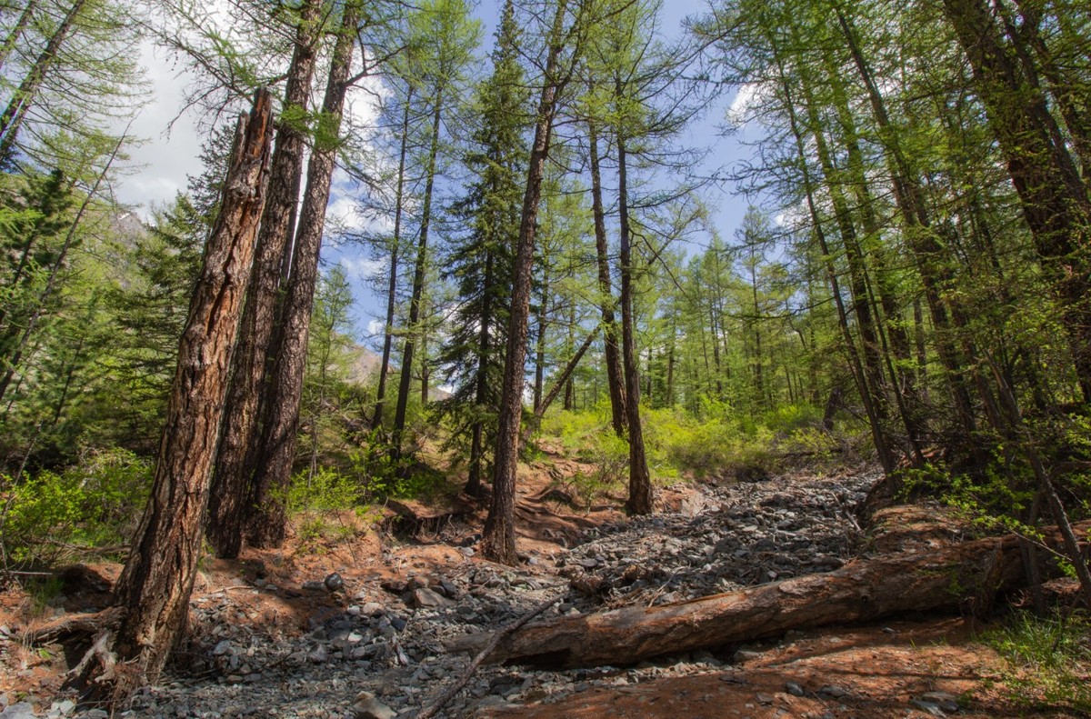 На авто по Алтаю в сопровождении кандидата географических наук (9/9)