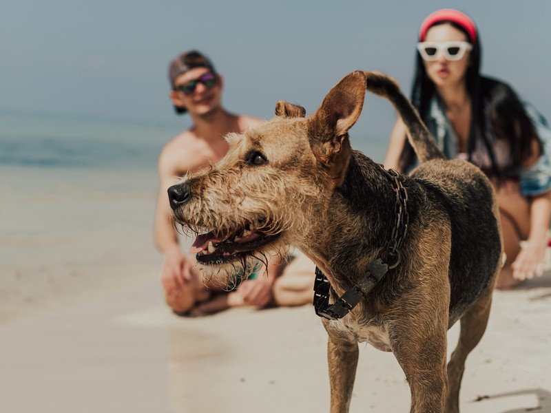 Фототур по острову Фукуок (5/20)