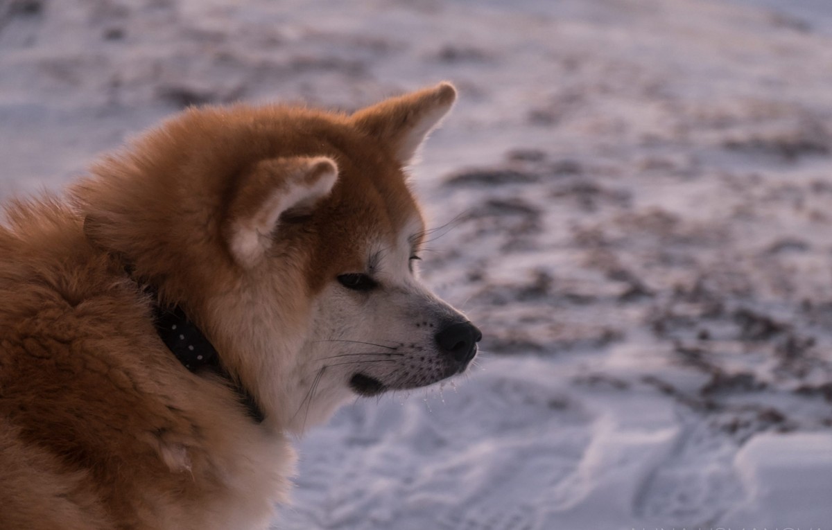 полярный 4 5. полярный 4 5. полярный 4 5.