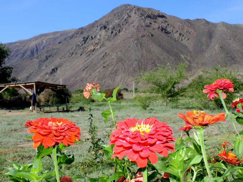 Рафтинг по реке Чилик (4/7)