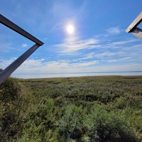 Фото отзыва 40: экскурсия "Куршская коса и Зеленоградск за один день" Фото отзыва 40: экскурсия "Куршская коса и Зеленоградск за один день"