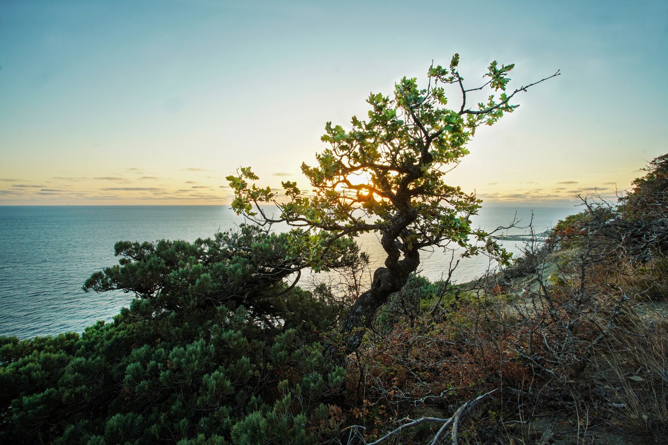 Экскурсии в утриш. Экскурсии в утриш. Большой утриш в анапе. Экскурсия малый утриш анапа. Большой утриш тропа каньон.