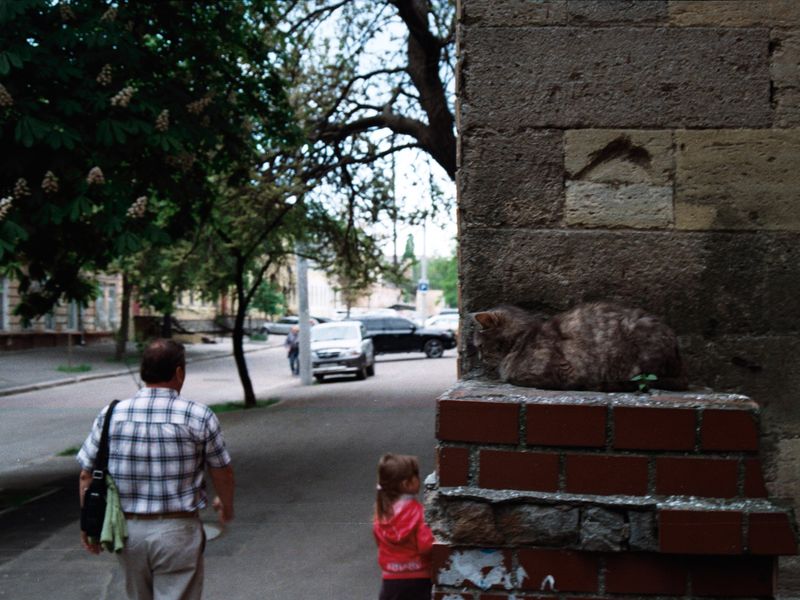 Одесса без купюр (4/16)