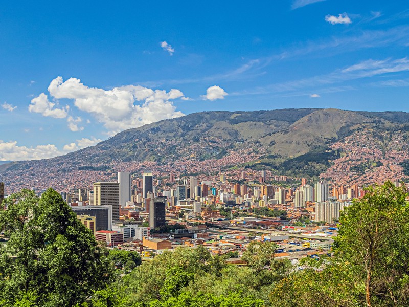 Медельин — столица гор и орхидей (16/17)