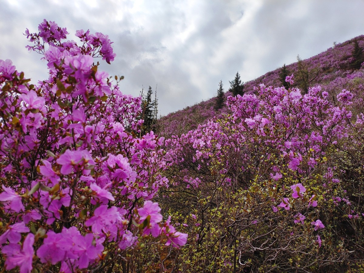Экспресс-перезагрузка на Алтае: топ локаций, Манжерок и дикие места (10/15)